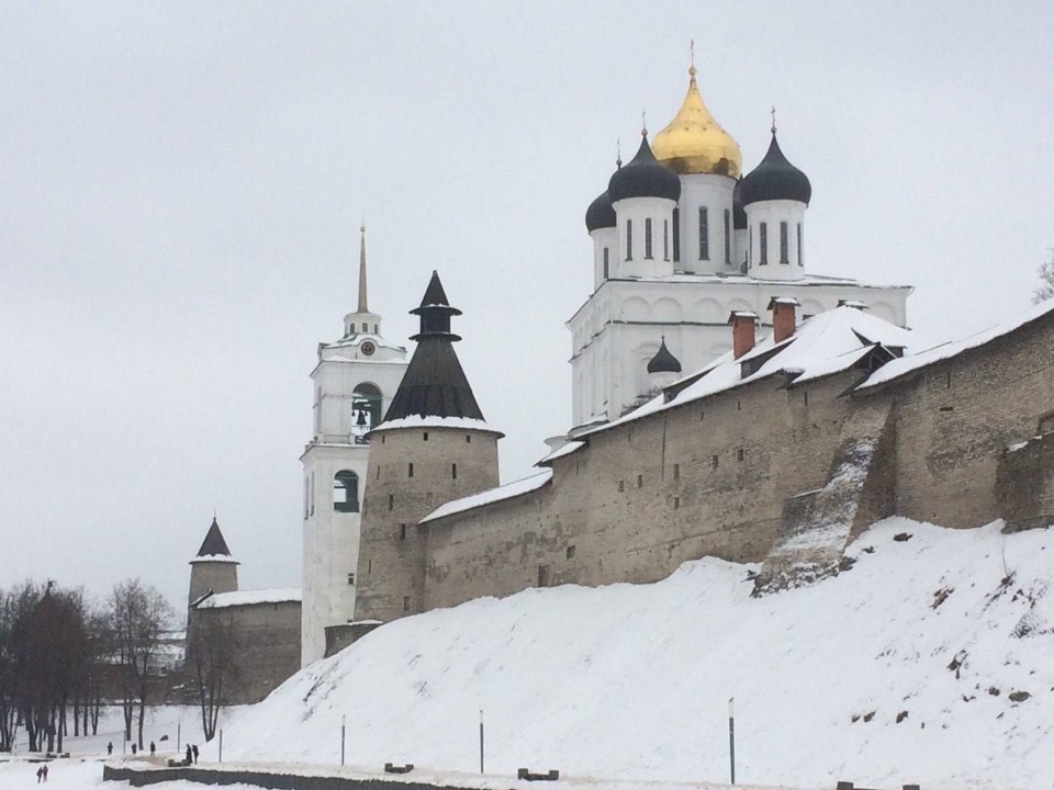 Дети из Белгородской области посетят Псков по приглашению Михаила Ведерникова