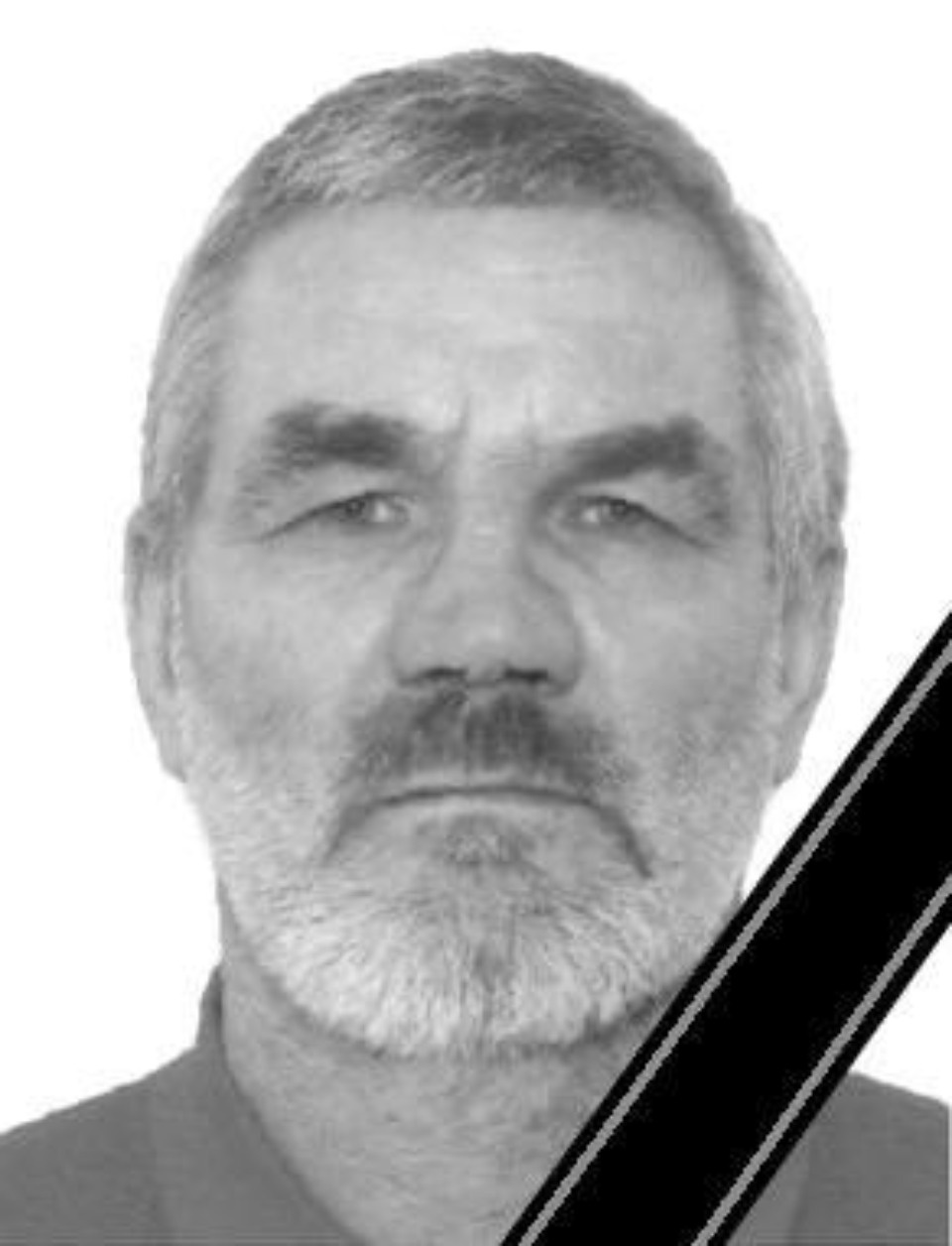 В Псковской области простились с семью погибшими в СВО военнослужащими