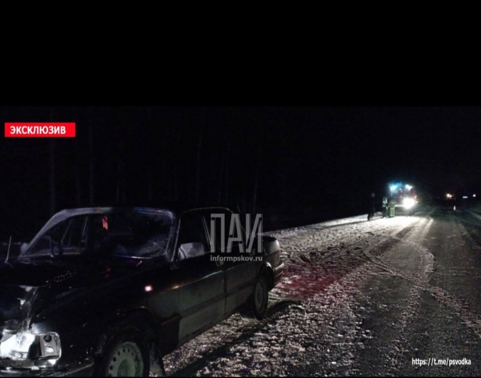 В Невельском районе машина насмерть сбила женщину В Невельском районе машина насмерть сбила женщину