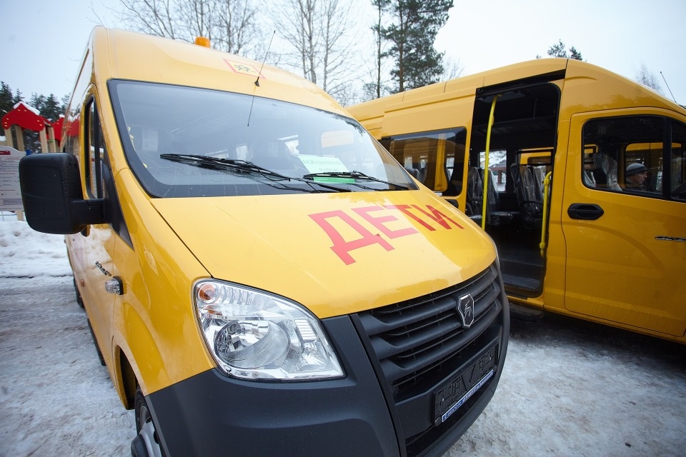 В Пушкиногорском районе отменили две школьные поездки в Псков из-за непогоды