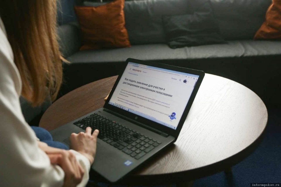 Более 46 тысяч псковичей подали заявление на участие в ДЭГ