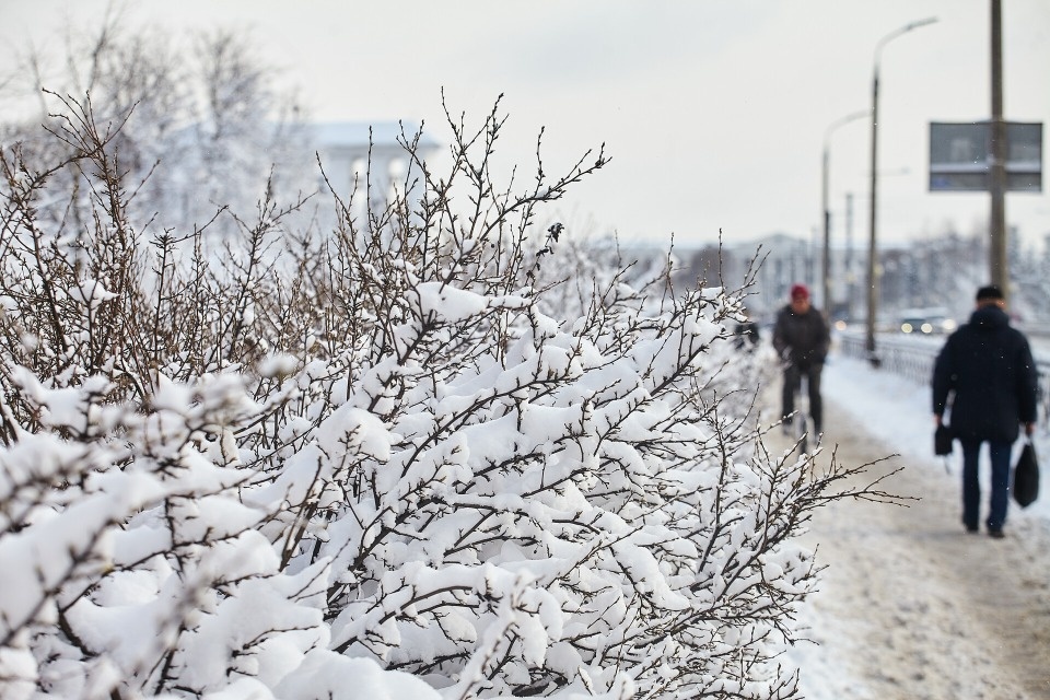 До -7 градусов похолодает в Псковской области 14 февраля