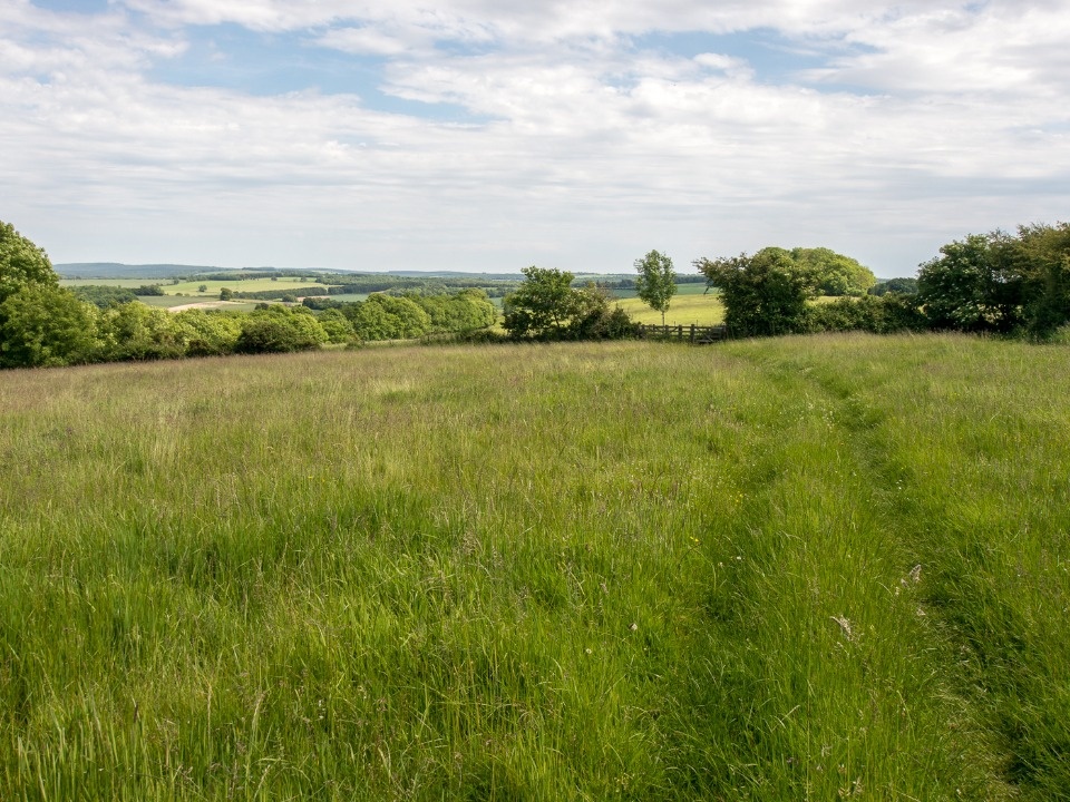 Более 50 героев СВО воспользовались правом на получение земельного участка в Псковской области