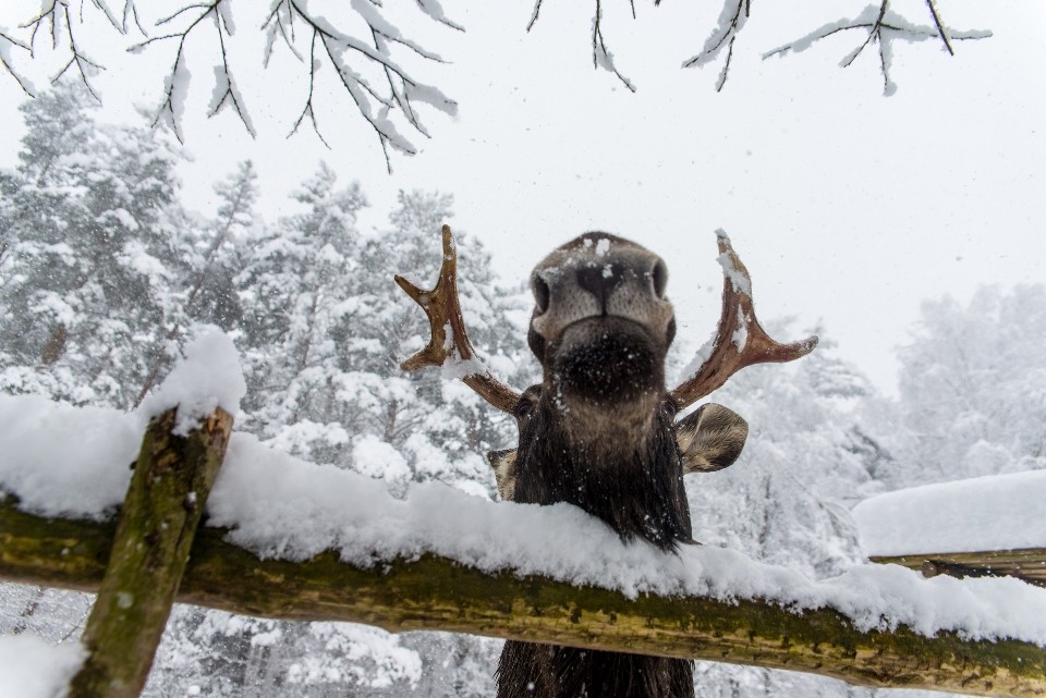 День без осадков ожидает жителей Псковской области 15 февраля