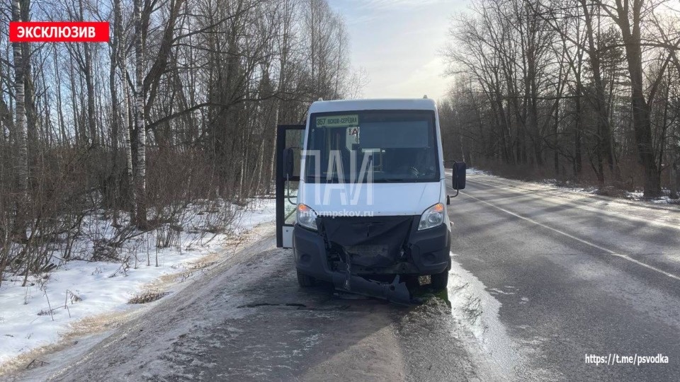 В Псковском районе автобус сбил косулю В Псковском районе автобус сбил косулю