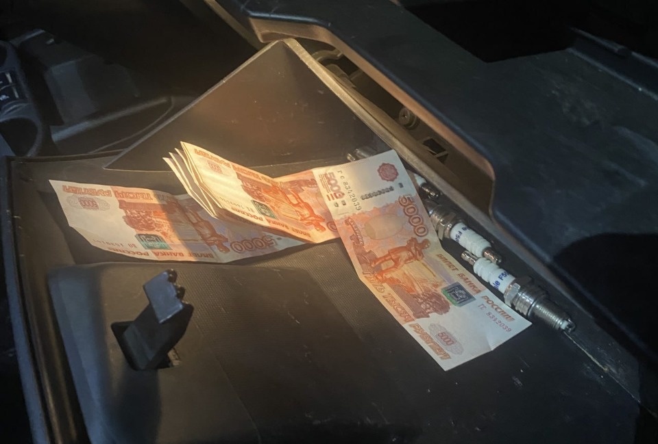 Псковича, пытавшегося дать взятку полицейскому, заключили под стражу 