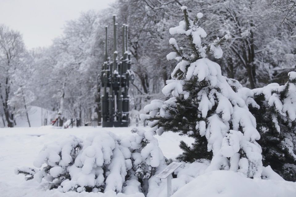 До +1 ожидается в Псковской области 21 февраля
