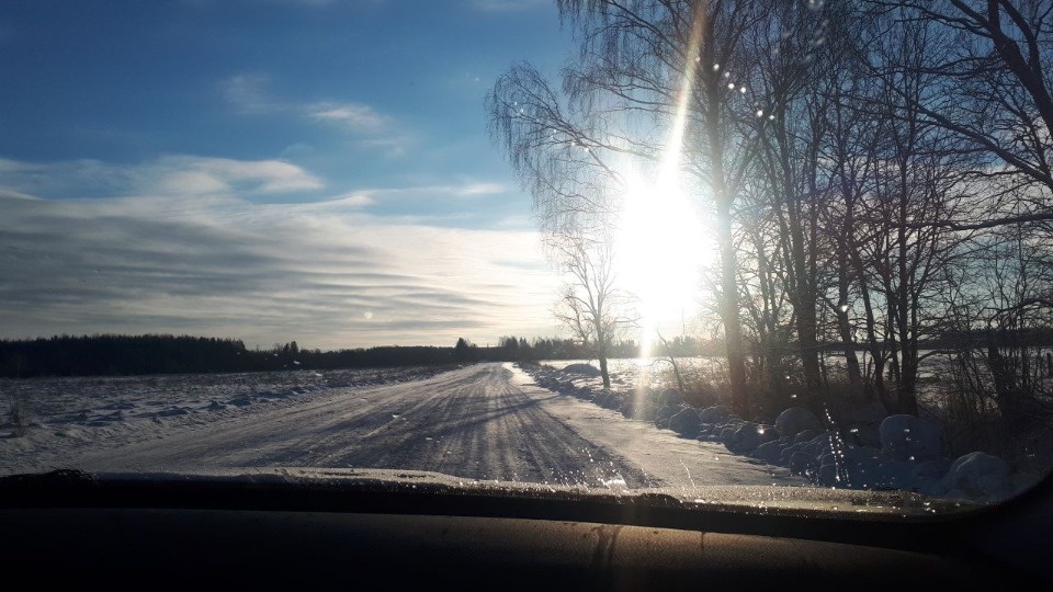 До +3 градусов ожидается в Псковской области 22 февраля