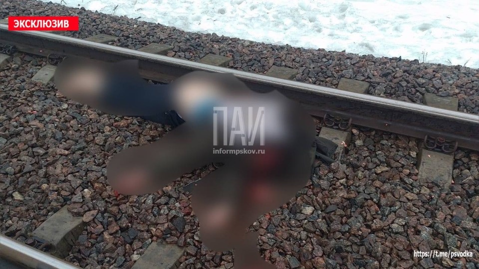 В Плюсском районе мужчина попал под поезд и погиб