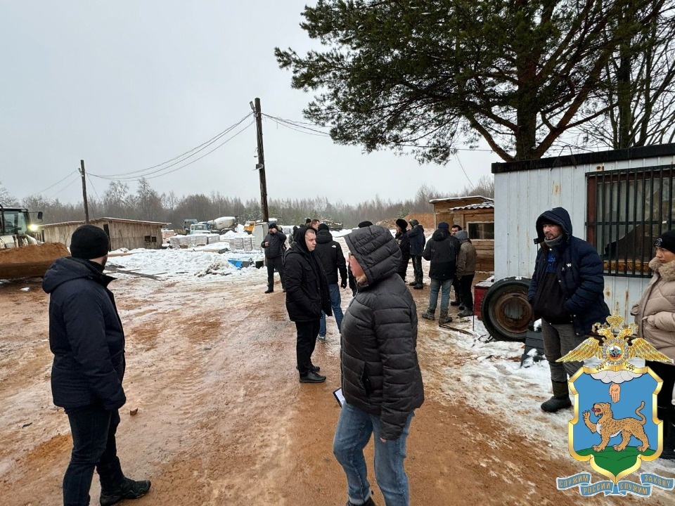 Псковские полицейские выявили незаконно осуществлявших трудовую деятельность иностранцев