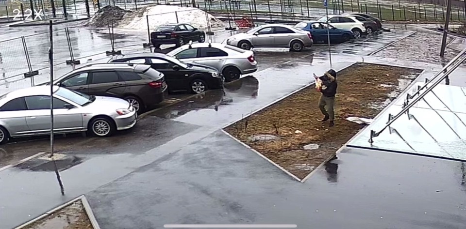 Мужчина зарезал двух куриц во дворе многоэтажки в Псковском районе Мужчина зарезал двух куриц во дворе многоэтажки в Псковском районе