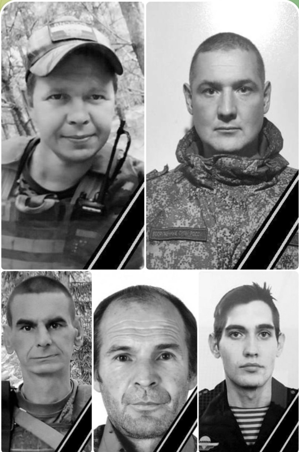 С пятью военнослужащими, погибшими в зоне СВО, простились в Псковской области