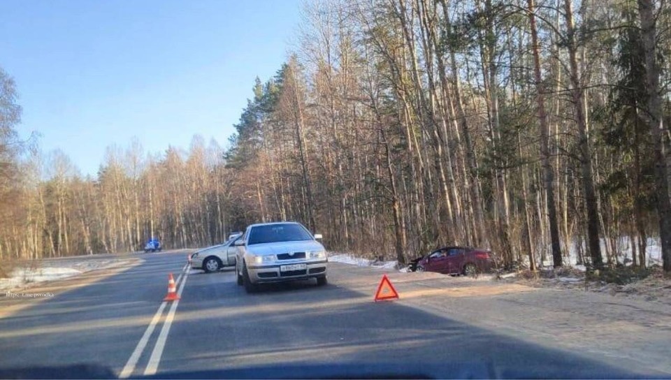 Двух человек госпитализировали в результате ДТП в Палкинском районе Двух человек госпитализировали в результате ДТП в Палкинском районе