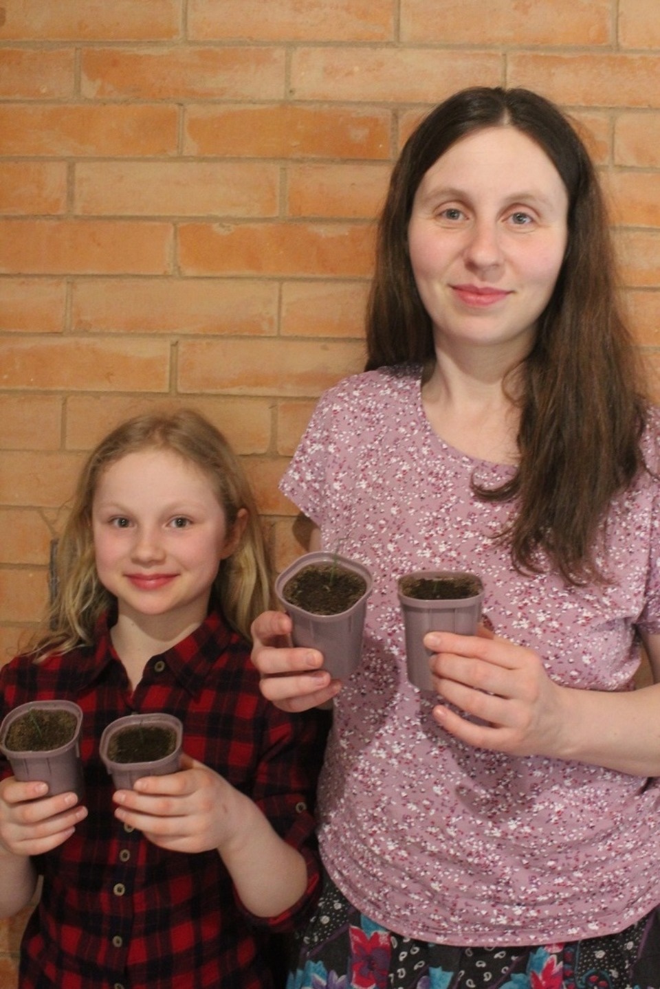 Гигантский лук планирует вырастить псковская семья