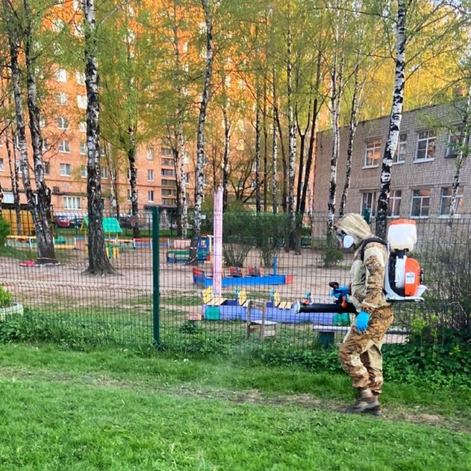 Более 115 гектаров популярных мест отдыха в Пскове обработают от клещей