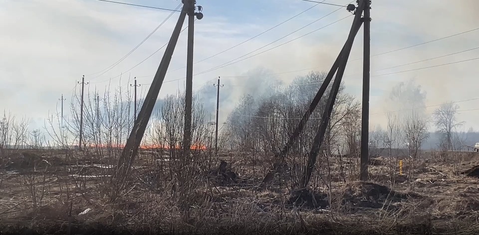 У границ Пскова зафиксировали первые палы травы