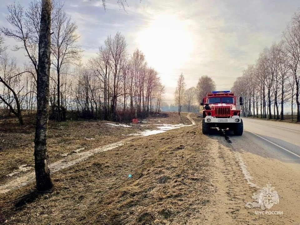 МЧС ликвидировали ландшафтные пожары в четырех волостях Псковского района