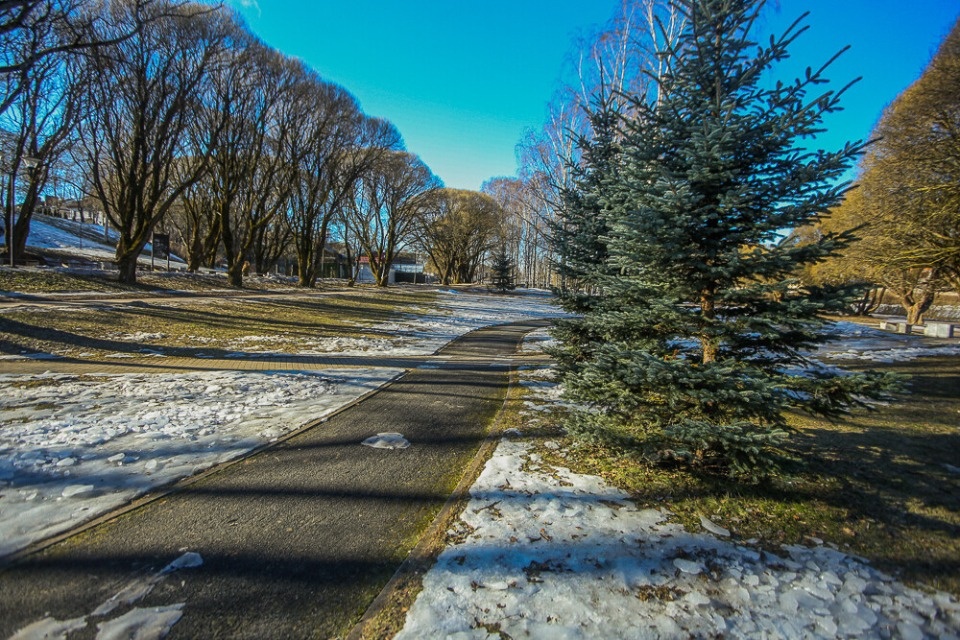 До +10 градусов прогреется воздух в Псковской области 14 марта