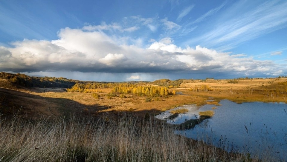 Гостей музея-заповедника «Изборск» призвали не разводить костры в Мальской долине