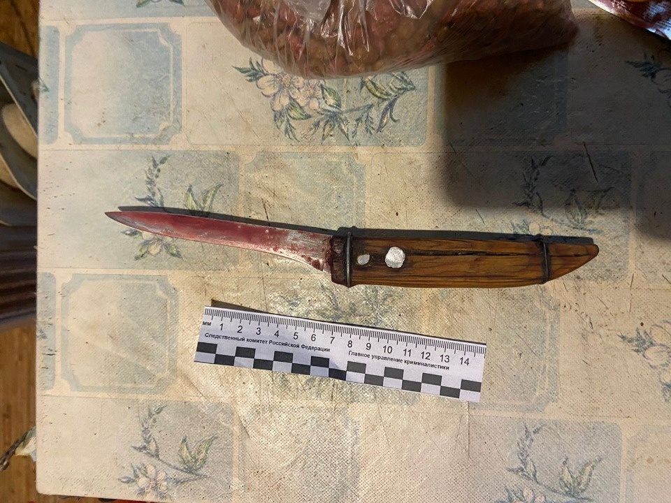 Житель Палкинского района убил сожительницу в Новый год