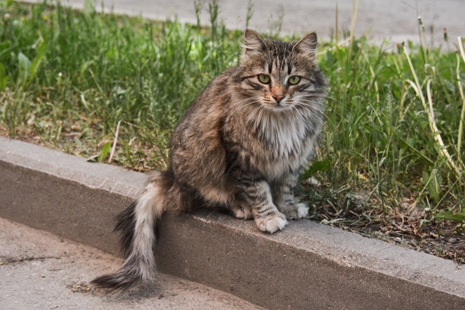 До +10 градусов ожидается в Псковской областью 22 марта