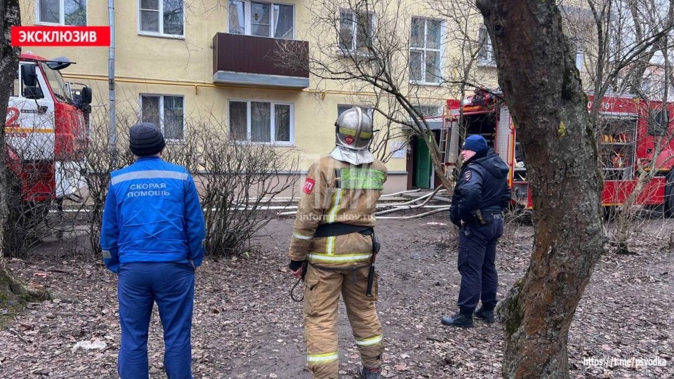 На пожаре в Пскове обнаружили погибшего