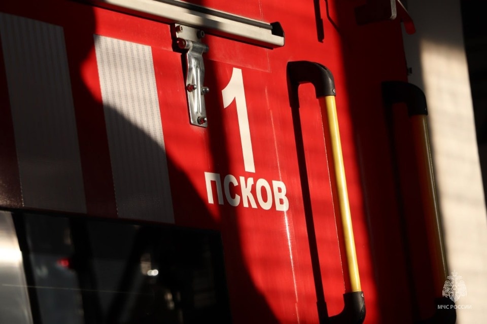 Более 40 животных спасли на пожаре в Плюсском районе Более 40 животных спасли на пожаре в Плюсском районе