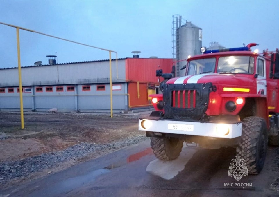 В Невельском районе ликвидируют пожар на агрокомплексе В Невельском районе ликвидируют пожар на агрокомплексе