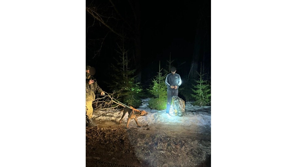 Иностранец пытался незаконно пересечь госграницу России в Псковской области