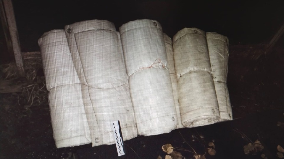 700 кг дизельного топлива слили из тепловоза трое жителей Дно 700 кг дизельного топлива слили из тепловоза трое жителей Дно