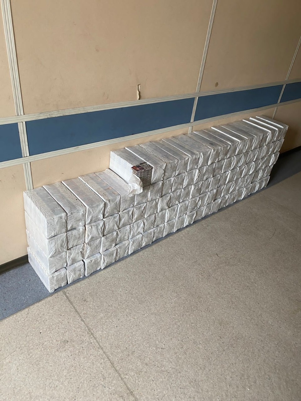 Псковские пограничники обнаружили в вагоне с семенем льна контрафактные сигареты на 500 тысяч рублей