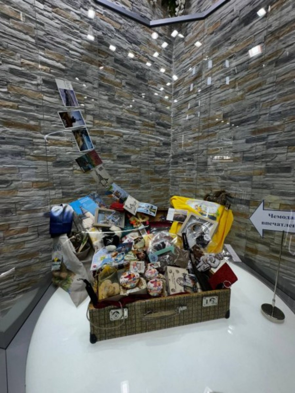  Барсики украсили стенд Псковской области на выставке «Россия» в Москве