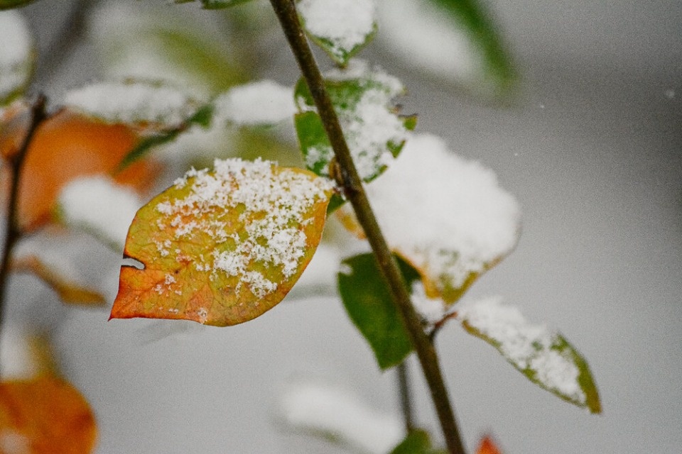 О сильном и мокром снеге предупреждают псковичей в МЧС