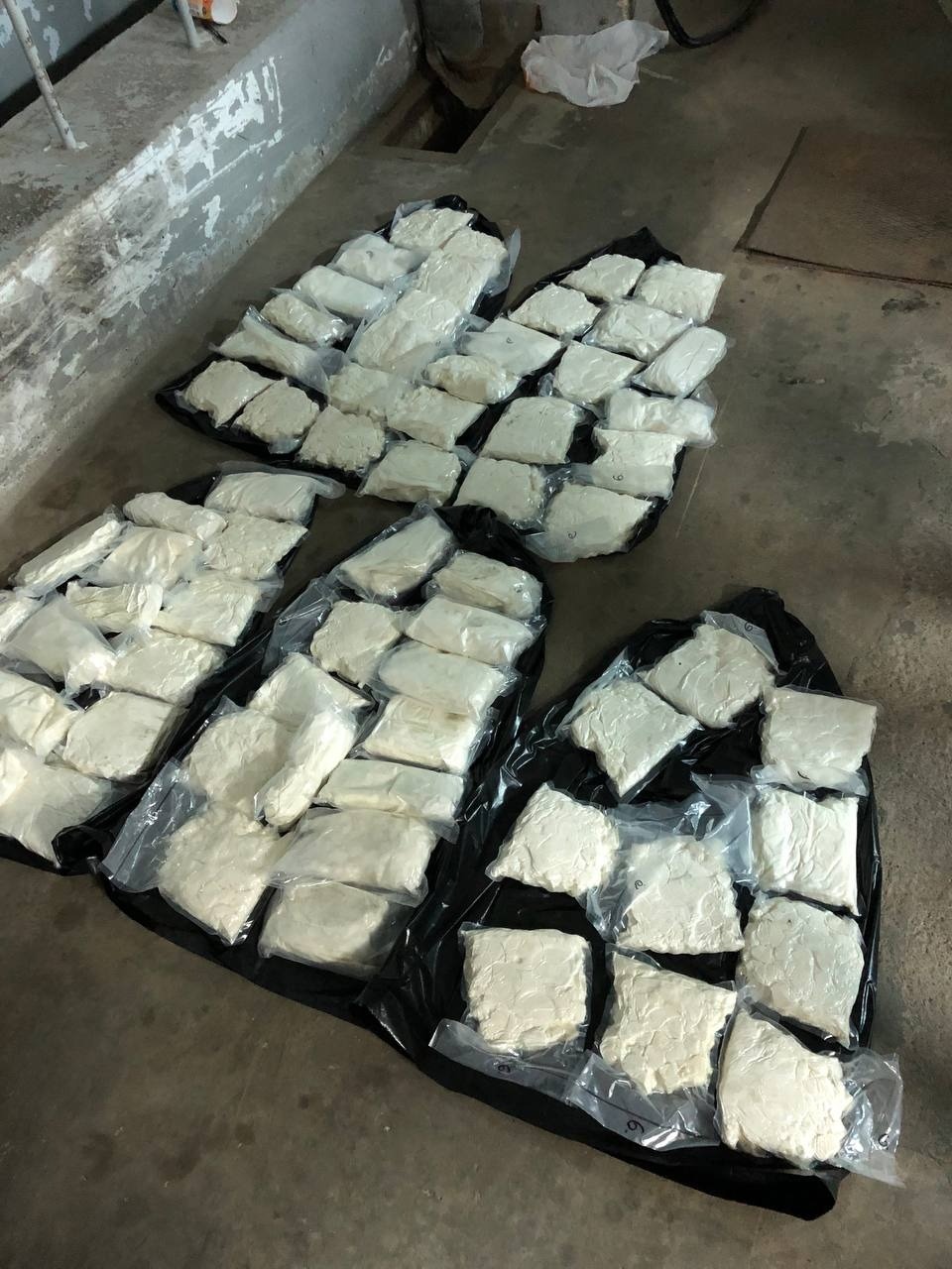 К 12 годам колонии приговорили мужчину в Псковской области за попытку сбыта 33 кг наркотиков