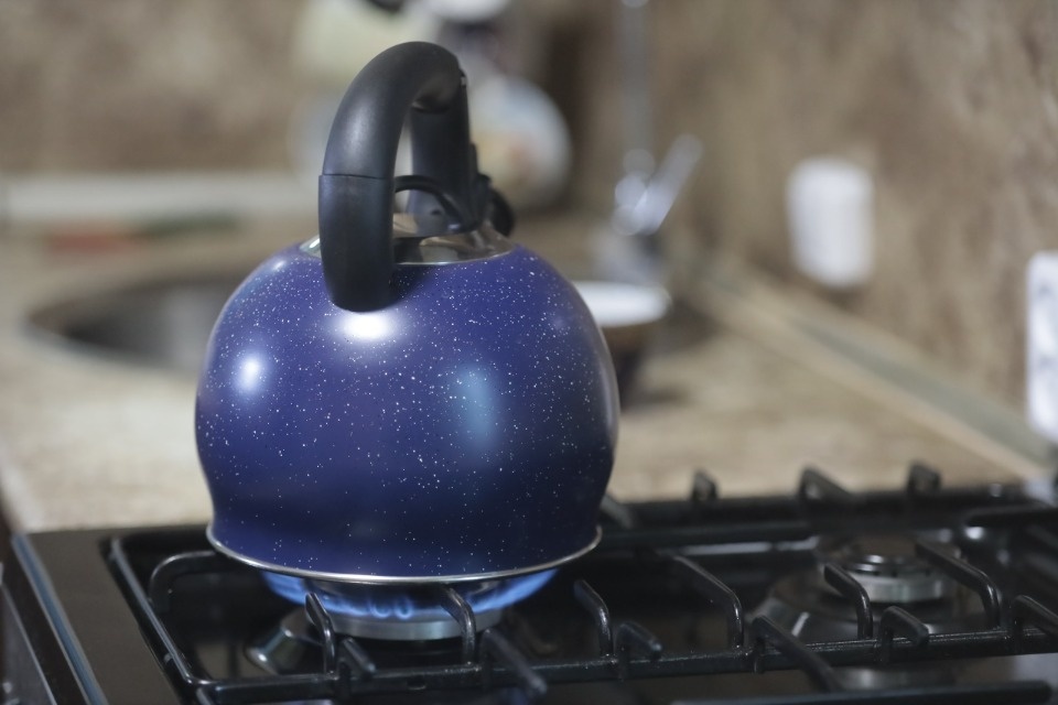 В деревне Переслегино Псковской области введен в эксплуатацию новый газопровод