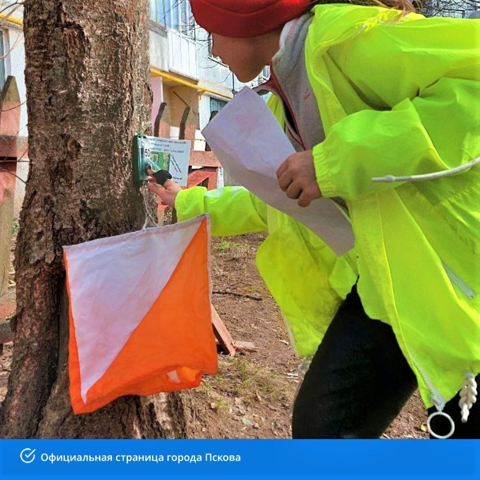 Белорусские спортсмены приедут в Псков на соревнования по спортивному ориентированию