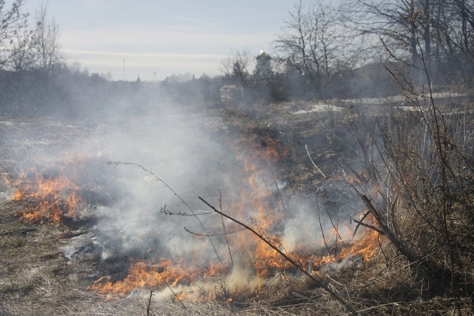 В Псковской области за сутки ликвидировали 13 ландшафтных пожаров
