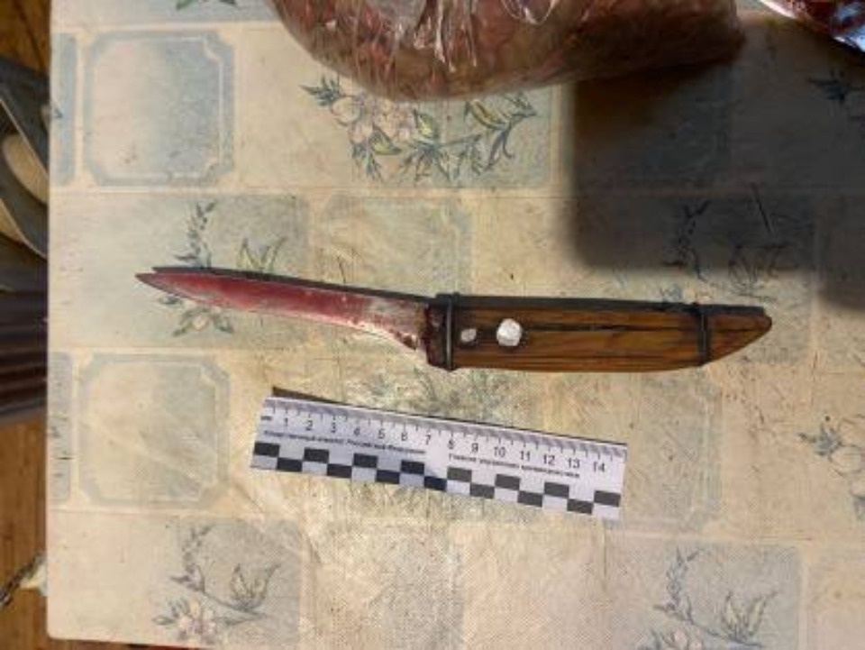 К 8 годам колонии приговорили жителя Палкинского района, убившего сожительницу в Новый год К 8 годам колонии приговорили жителя Палкинского района, убившего сожительницу в Новый год