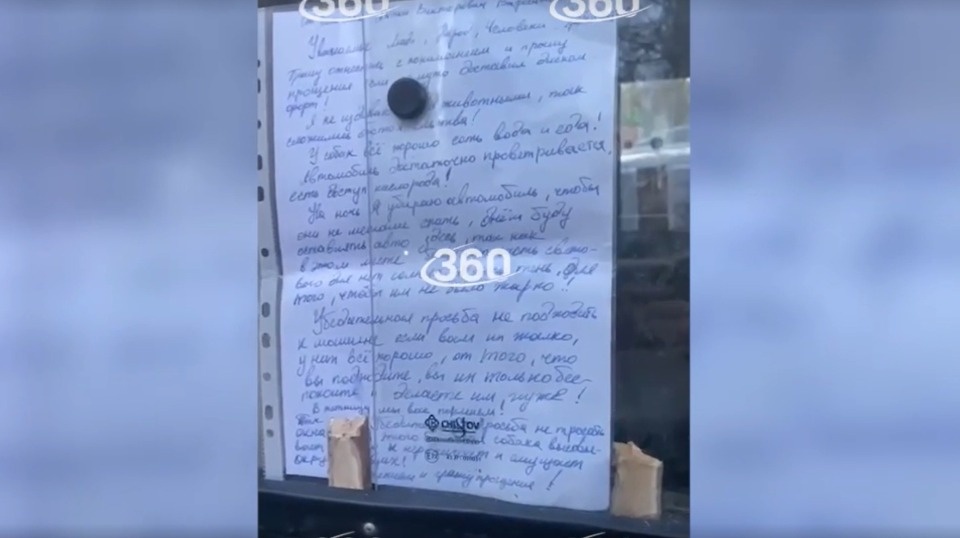  Пскович оставил двух своих собак жить в машине в Москве