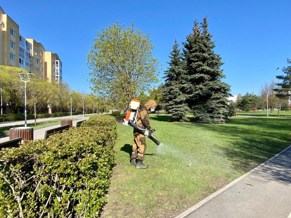  Обработка парков и скверов от клещей стартовала в Пскове 