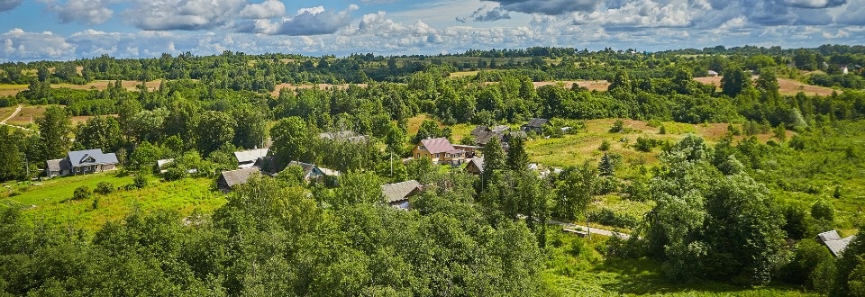 Теплый май прогнозируется в Псковской области