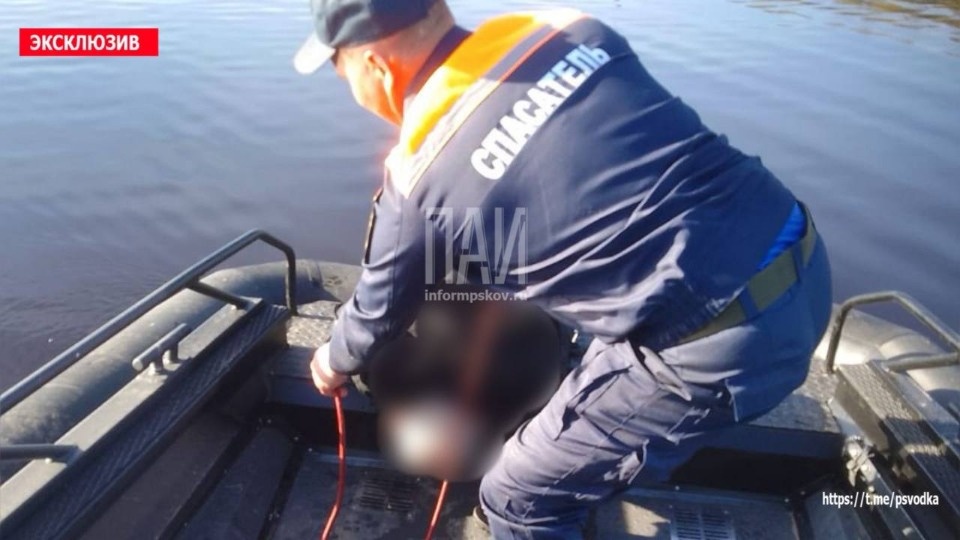  Тело утонувшего рыбака достали из реки Великой в Псковском районе