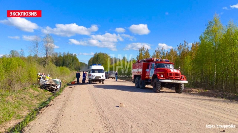 Водителя вылетевшей в кювет машины доставили в больницу в Стругокрасненском районе