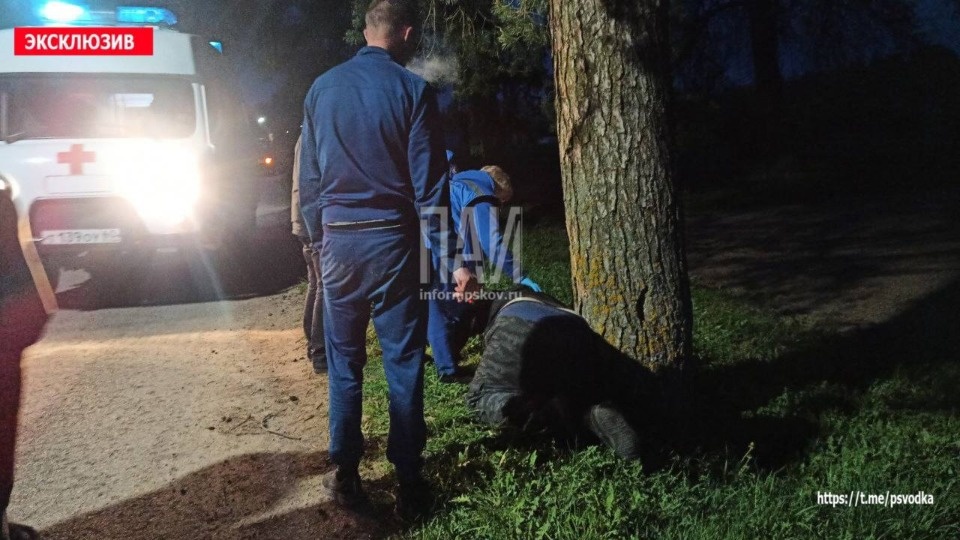 В Дно пьяный скутерист сбил пешехода и спрятал скутер в кустах В Дно пьяный скутерист сбил пешехода и спрятал скутер в кустах