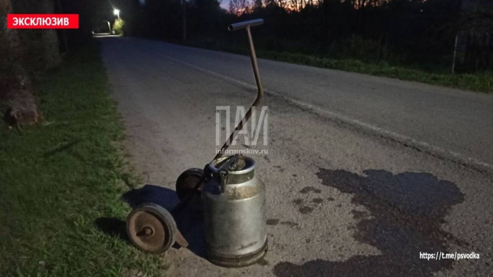 В Дно пьяный скутерист сбил пешехода и спрятал скутер в кустах В Дно пьяный скутерист сбил пешехода и спрятал скутер в кустах