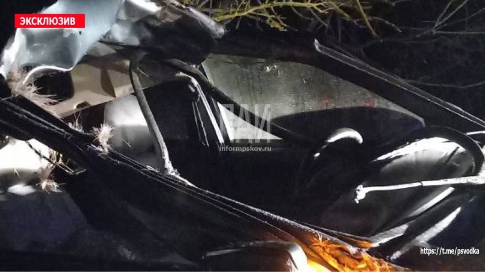 В Великолукском районе легковушка столкнулась с лосем