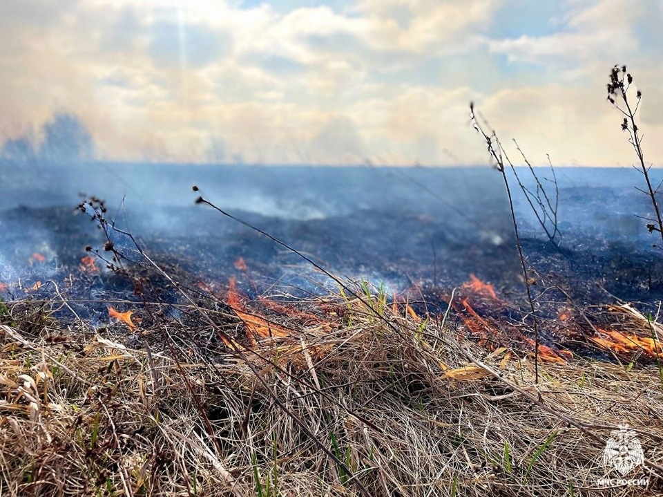 Высокая пожарная опасность прогнозируется в Псковской области с 8 мая