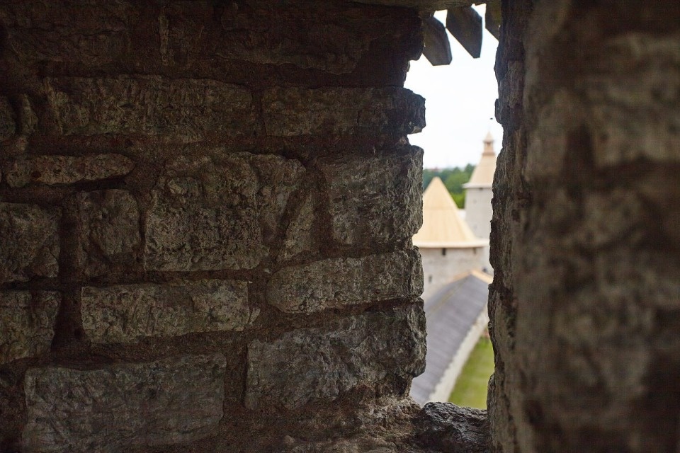 До +10 градусов прогреется воздух в Псковской области 8 мая