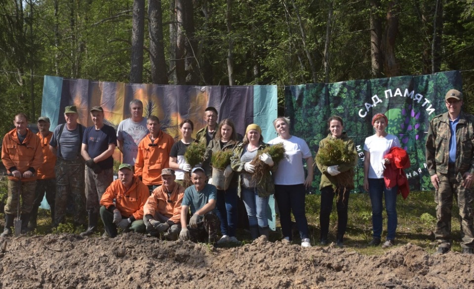 Около 6 тысяч сосен высадили в Псковском районе в рамках акции «Сад памяти» 16 мая