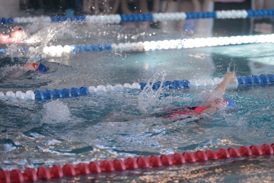 Красиво плывут!